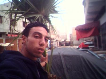 0���tigre���0