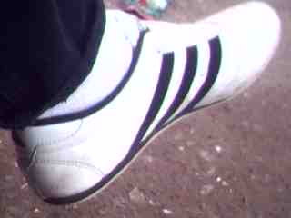 000�3ponde de tigre�000