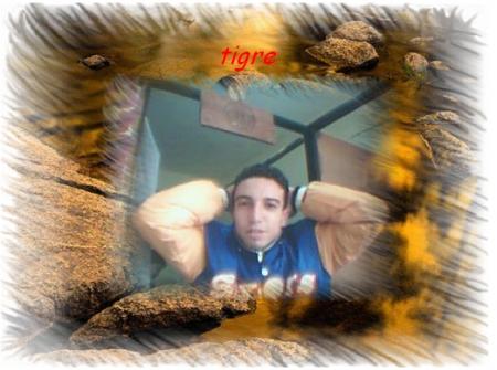 ~~tigre~~