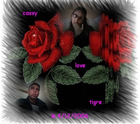 ~~tigre&cassy~~