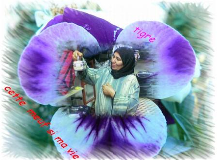 ~~ma belle rose maman~~