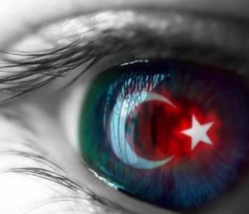 ���TIGRE���